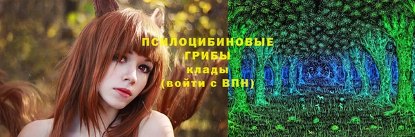 гашик Алзамай
