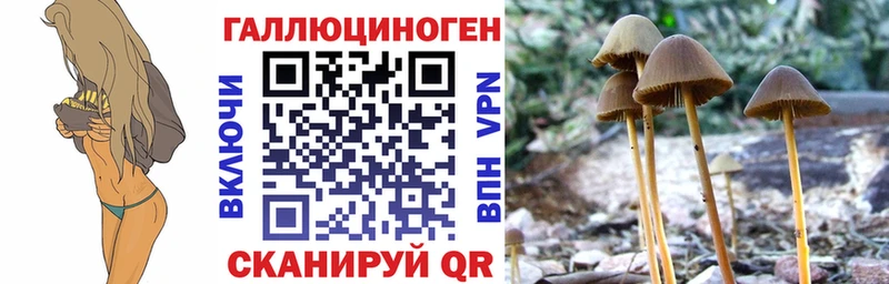 OMG рабочий сайт  Ессентукская  Псилоцибиновые грибы мицелий  цена наркотик 